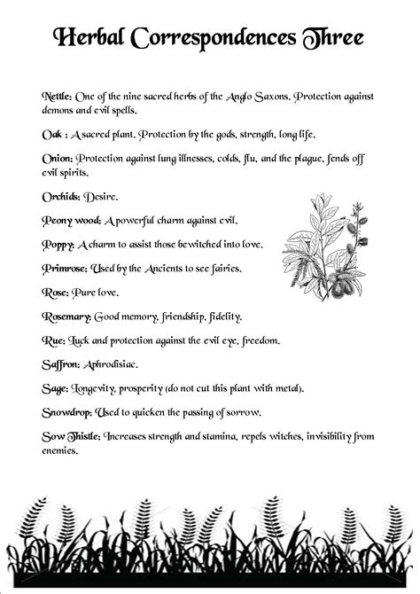 The Importance of Wiccan Herbs for Warding and Spiritual Protection